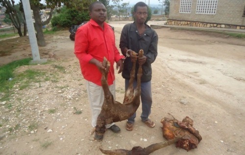 Bafatanywe inka yahakaga bamaze kuyibaga ariko bahakana ko nta ruhare bagize rwo kuyiba.