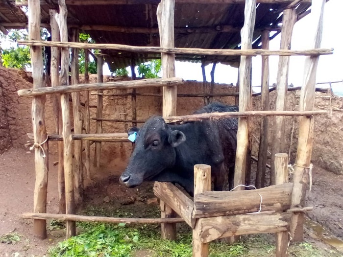 Inka Akarere kahaye ababyeyi ngo ibafashe gutunga umwana wabo na yo ngo nta mukamo uhagije ifite