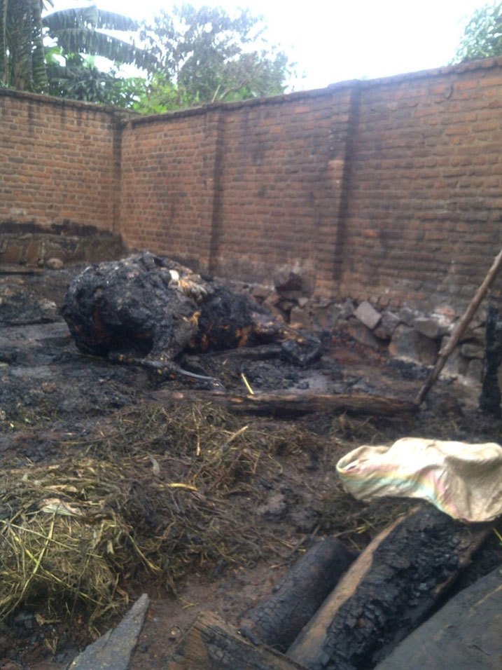 Inka n'ihene byakongotse.