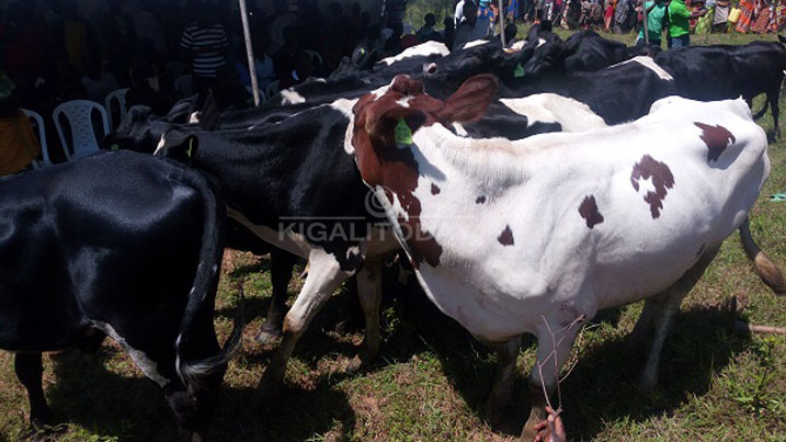 Inka 22 nizo zashyikirijwe abaturage