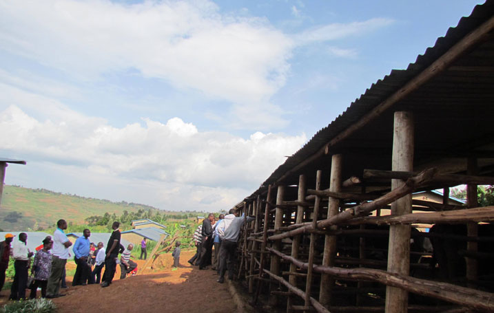 Inka zo muri ibi biraro zororewe mu bikumba.