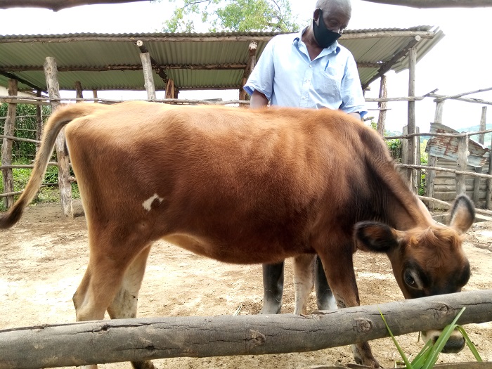 Alexis Riyombyana ati Jersey icyiza cyayo yenda kunganya amata na Frizone kandi yo yariye bikeya