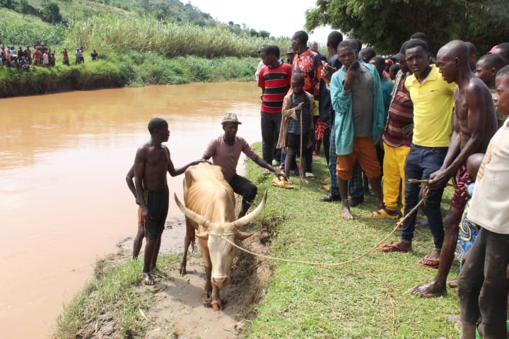 Iyi nka yageze mu Rwanda inyujijwe mu Kanyaru yoga