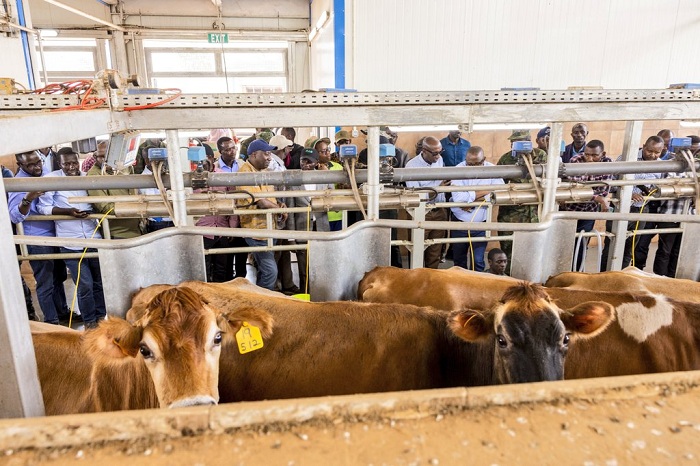 Hatangiye gukorerwa ubworozi bwa kijyambere