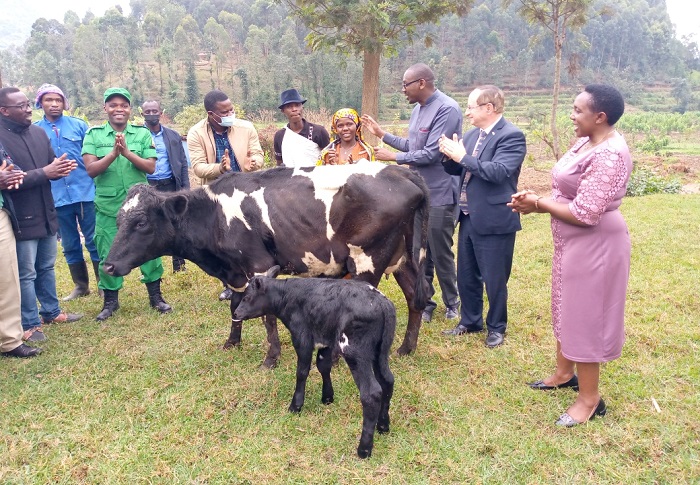 Nyiragasigwa Winifrida yorojwe inka n'iyayo