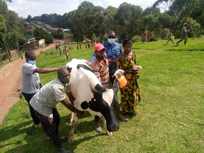 Uwagabiwe inka mu gihe anyuranyije n'amabwiriza agenga gahunda ya Girinka ashobora kuyamburwa