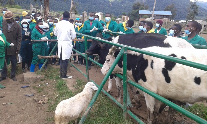 Ni abanyeshuri biga ibijyanye n'ubworozi