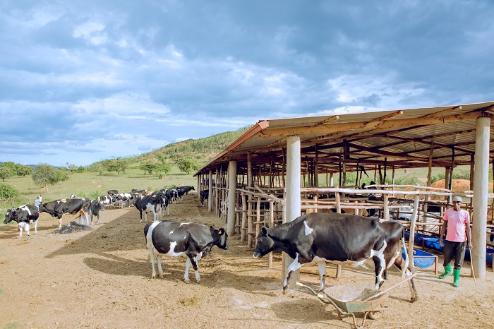 Maridadi yifuza ko bakoroherezwa kwitumiriza intanga hanze