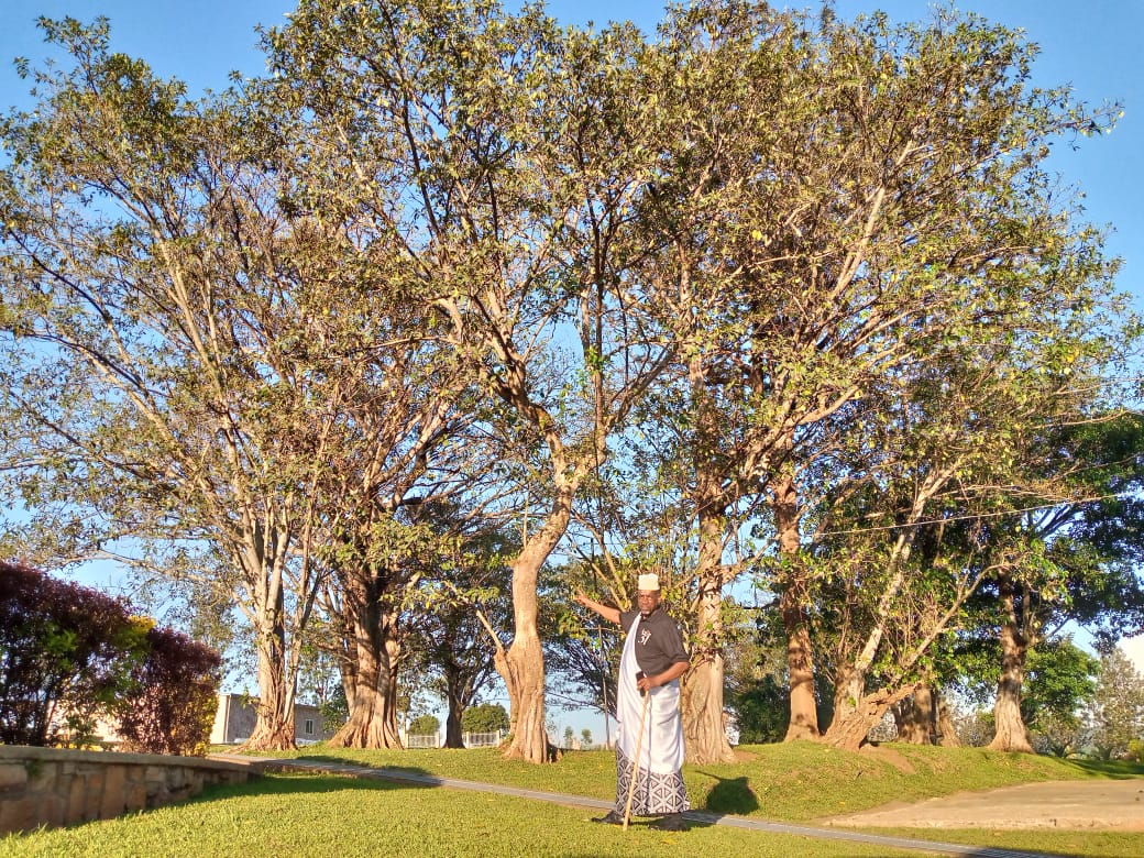 Karemera ku bigabiro by'i Ntarama, arasobanura akamaro k'ibiti mu Bugesera