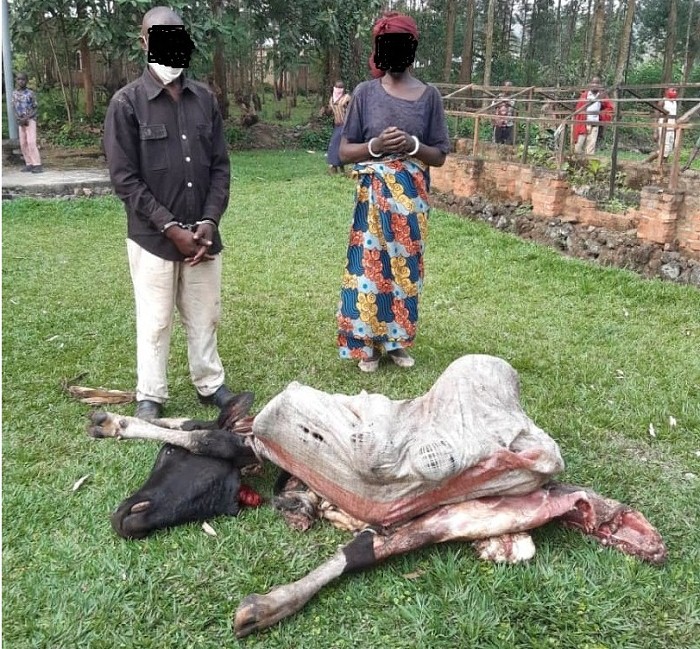 Abafashwe babagira inka mu rugo rwabo bahise batabwa muri yombi