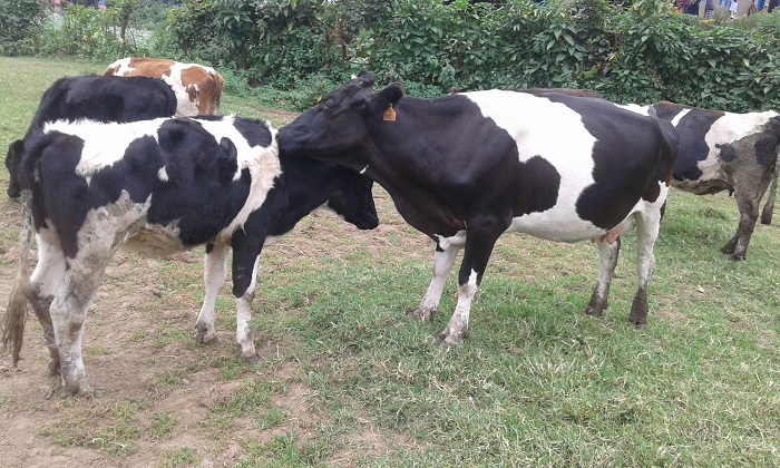 Inka 200 zahawe imiti y'inzoka na vitamini