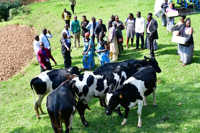 Abageze mu zabukuru batanu bahawe inka