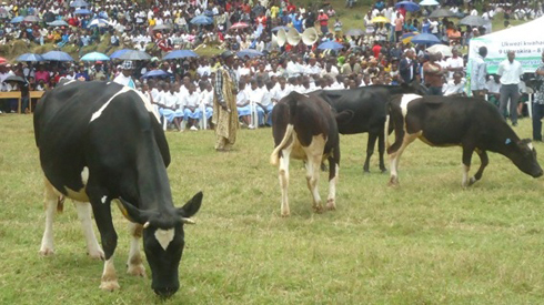 Ibigo by'amashuri byagabiye bigenzi byabyo.