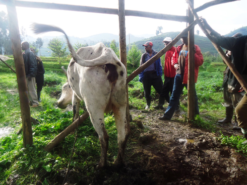 Yatemwe kandi yari yaratanzweho umurage