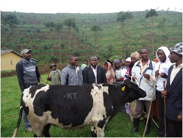 Inka zisaga ibihumbi 4 zatanzwe muri Girinka