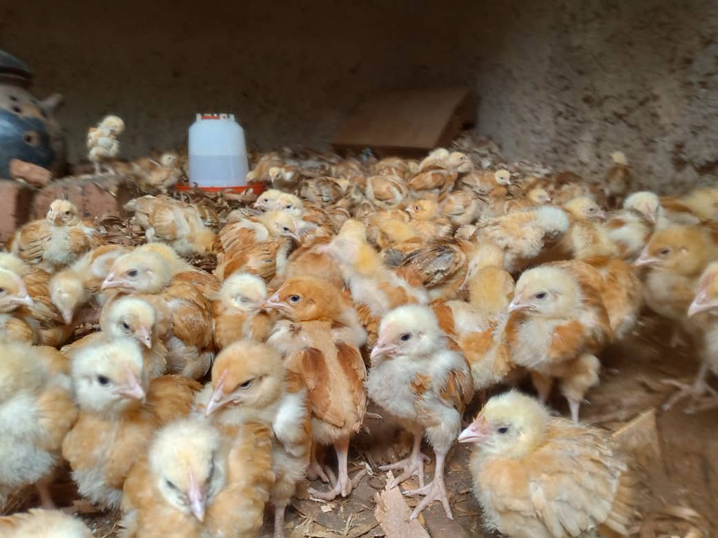 Batangiye kwishyira hamwe kugira ngo bakore umushinga urambye