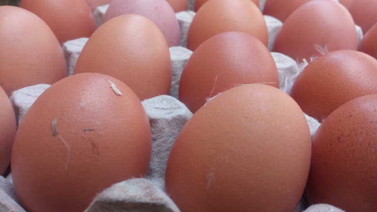 Aborozi banini b'inkoko ngo ntibakibona amasoko ahagije y'amagi