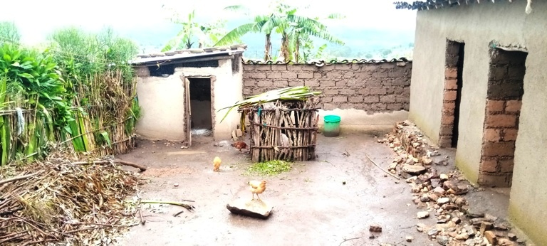 Uwamwiza afite gahunda y'uko mu bihe biri imbere uru rugo ruzengurutse inzu ye ruzaba rugizwe n'inzu zirimo amatungo