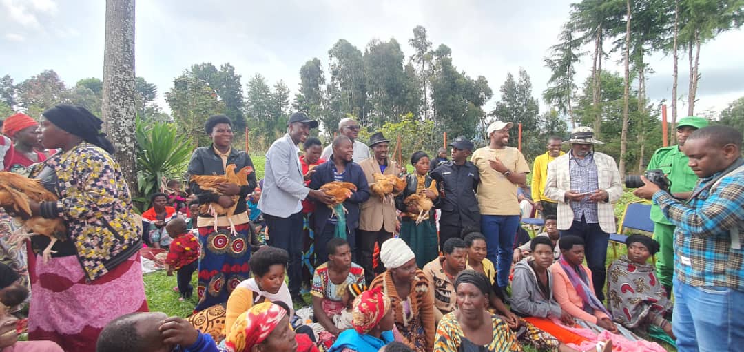 Imiryango 350 yo mu Murenge wa Kinigi na Nyange yorojwe inkoko