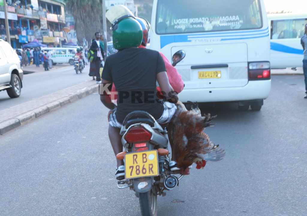 Inkoko ni imwe mu nyama ziba zihagazeho mu minsi mikuru
