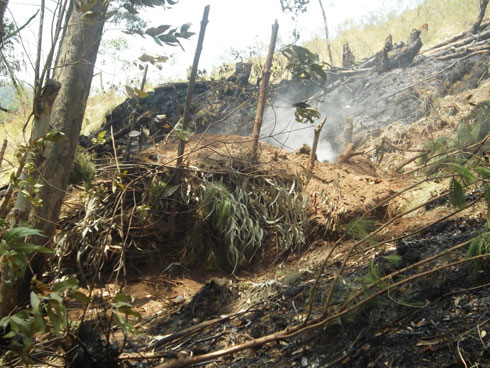 Umuriro waturutse ku makara yatwikirwaga muri iryo shyamba.