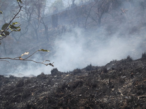 Umuyaga mwinshi watumye umuriro utwika ahatari hato.