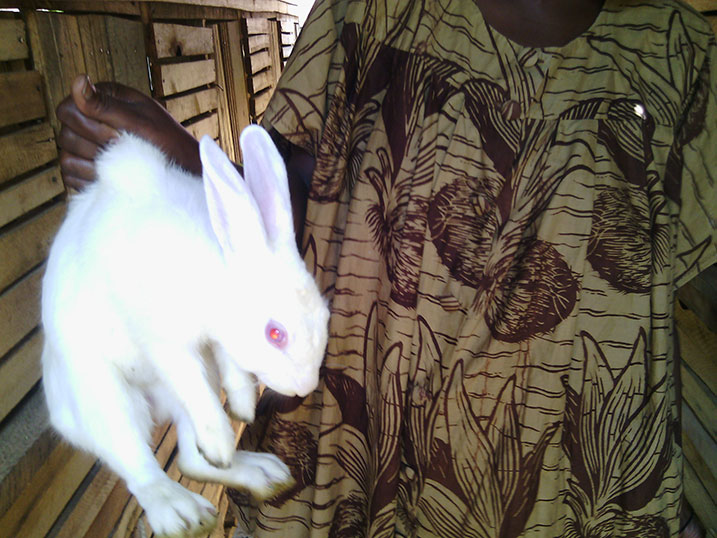 kamaliza ahorana inkwavu nkuru zo kugurisha.