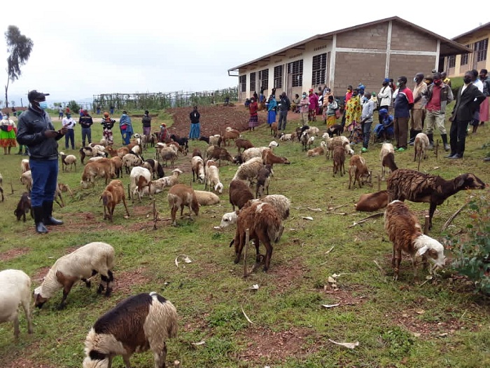 Abagore borojwe intama 100