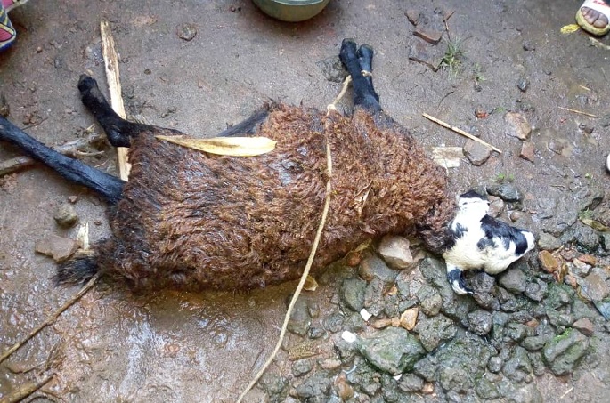 Musanze: Inkuba imukubitanye n