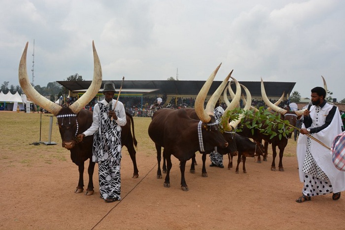 Inyambo zakoze umutambagiro ku munsi w'Umuganura