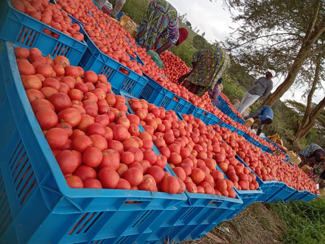 Inyanya za Nyiranzeyimana