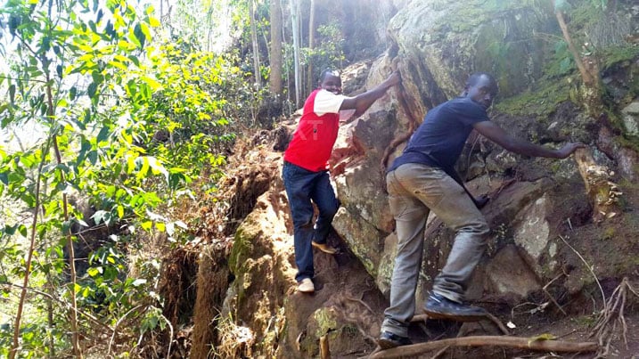 Inzira ijya mu buvumo bwa Kanyarira ishyira mu kaga abayinyuramo