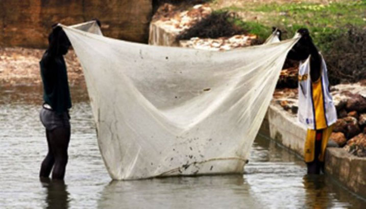 Inzitiramibu ngo ahenshi bazikoresha mu burobyi.