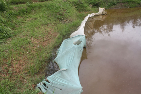 Bakoresha inzitiramubu mu bworozi bw