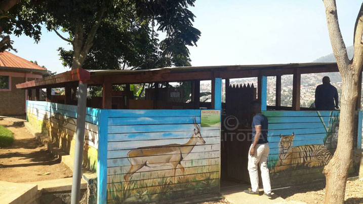 Mu Ngoro ndangamurage y'amateka izwi nko kwa Richard Kandt baroye amoko atandatu y'inzoka