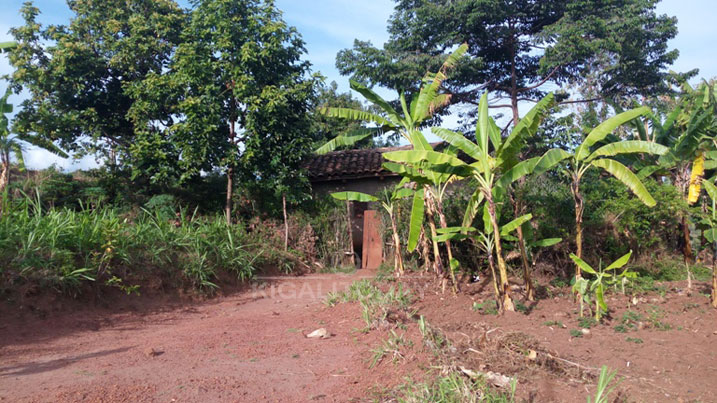 Isambu n'inzu umwe muri ba Nyirasenge atuyemo