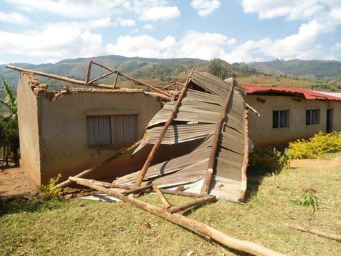 Utugari twa Gitarama, Nyarusazi na Gasura ni two twibasiwe cyane.