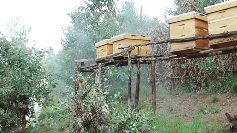 Abavumvu bari barabujijwe gukorera ubworozi bw