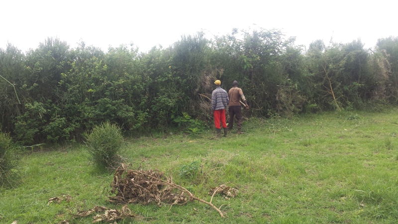 Abafite inzuri batangiye kuzizitira 