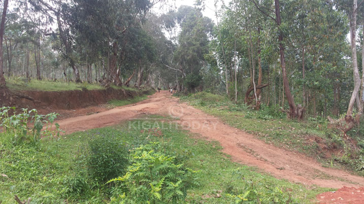 Iri shyamba niry rivugwaho gucumbikira abahungabanya umutekano muri iyi nzira