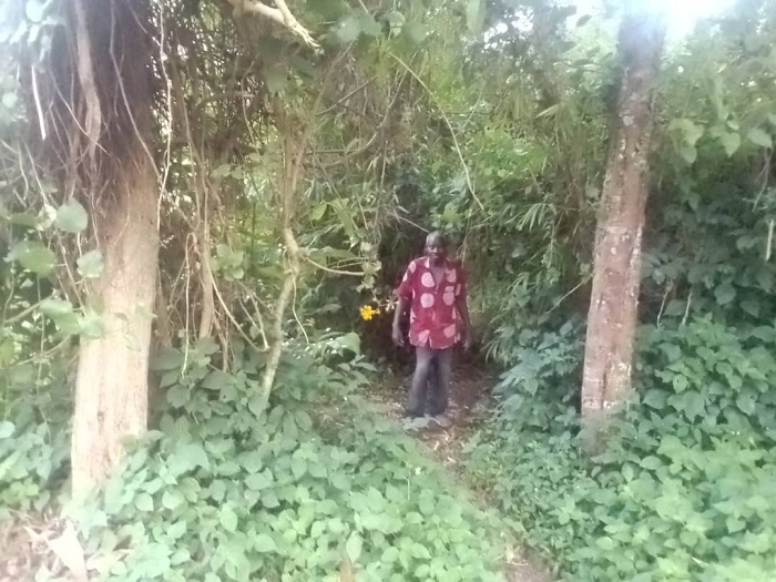 Hategekimana Yosefu mu ishyamba rya Nkotsi