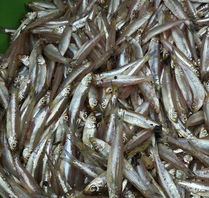 Iyo mitego ifata isambaza nini ugereranyije n'isanzwe