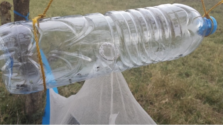 Isazi zafashwe mu mutego.