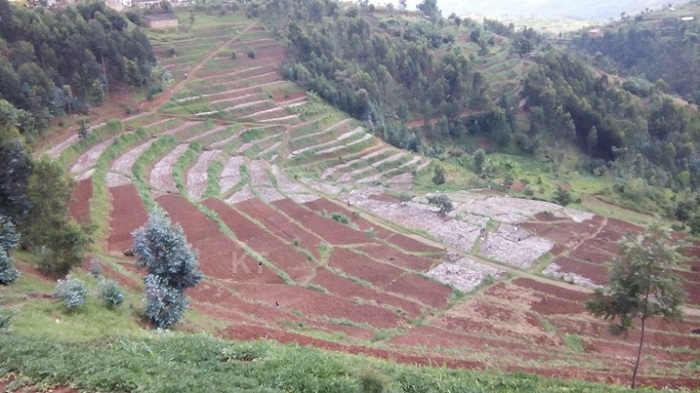 Ubutaka bwa Nyaruguru bwera neza iyo harimo ishwagara