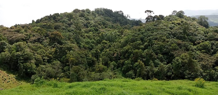 Kurinda abangiza Pariki ni bumwe mu buryo bwo kurengera ibinyabuzima byinshi