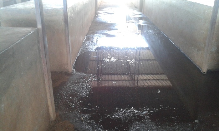 Iyo imvura iguye aho bacururiza hareka amazi