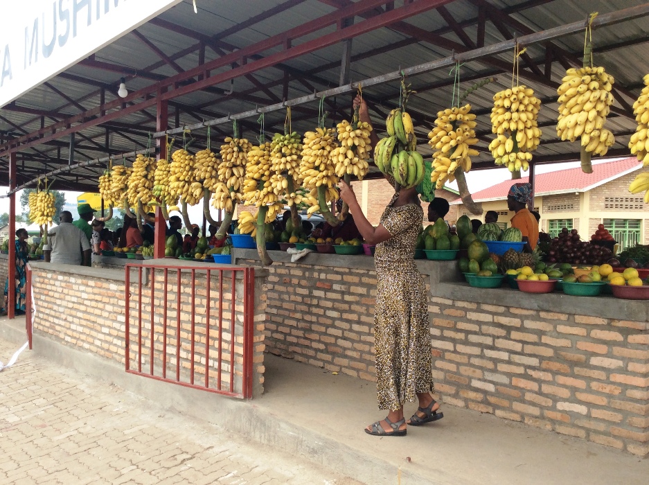 Hacururizwa ibitoki byinshi by'imineke