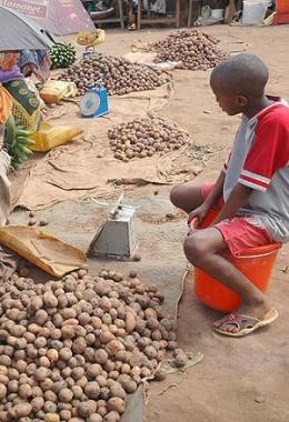 Iyo imvura iguye ibicuruzwa birangirika.