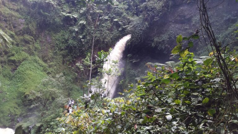 Isumo rya Kamiranzovu rikurura benshi basura parike ya Nyungwe