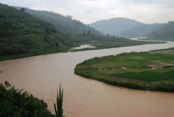 Ubutaka butwarwa n'isuri bujya mu nzuzi no mu migezi ikabutembana